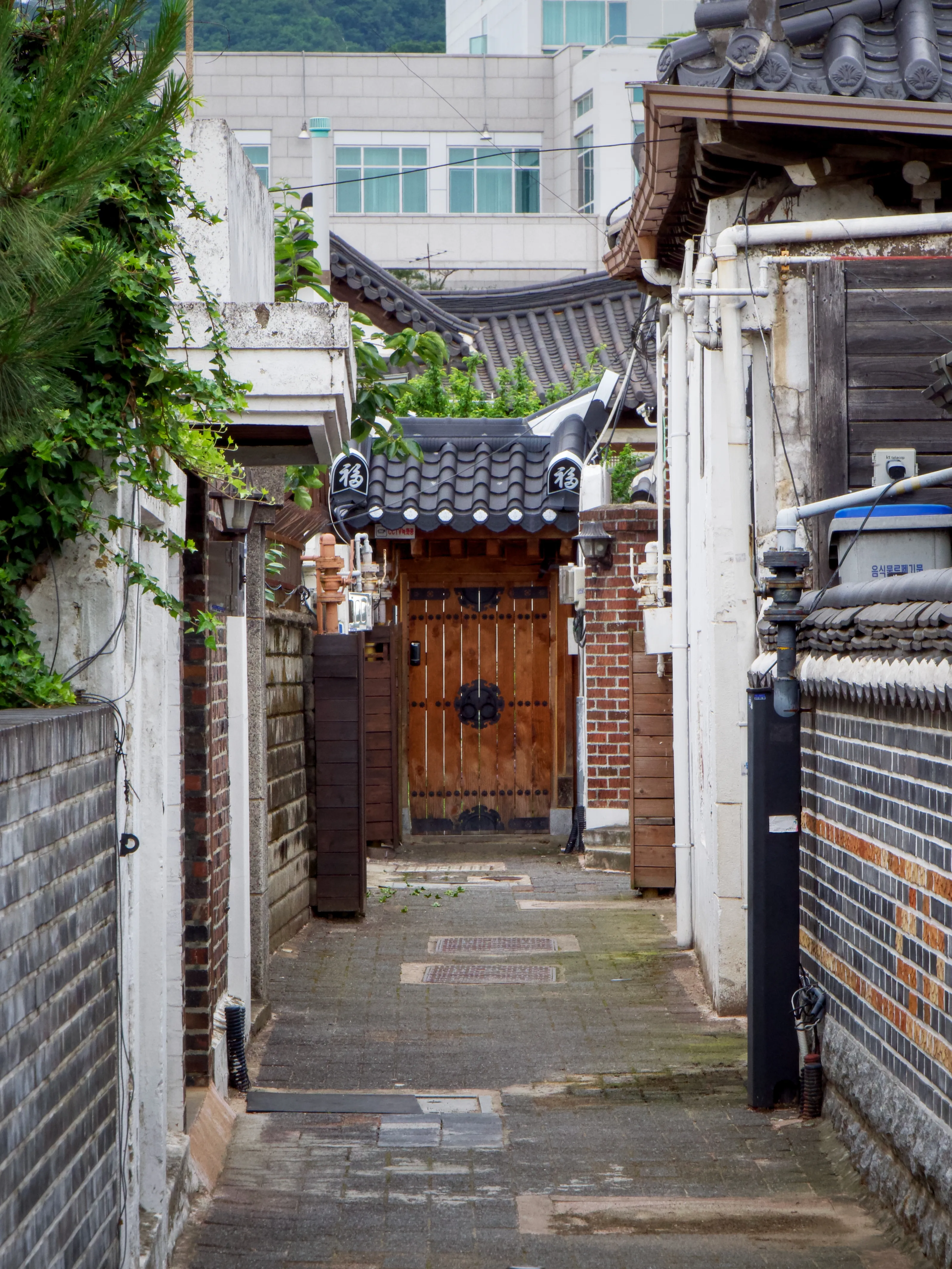 Roaming The Streets Gallery - Picture 13